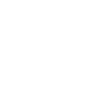 Adaptive Cruise Control (ACC) with Low Speed Follow Interval Indicator*