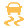 Vehicle Stability Assist (VSA) System Indicator